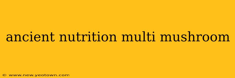ancient nutrition multi mushroom