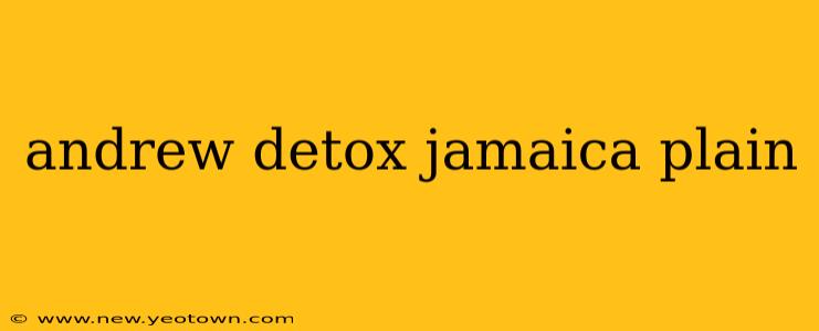 andrew detox jamaica plain