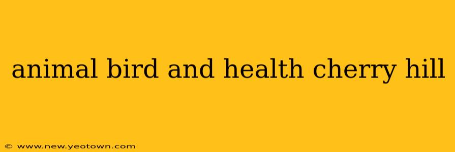 animal bird and health cherry hill