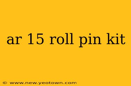 ar 15 roll pin kit