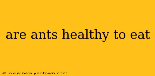 are ants healthy to eat