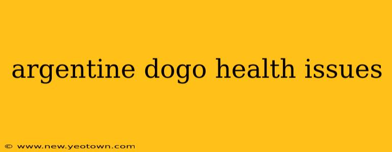 argentine dogo health issues
