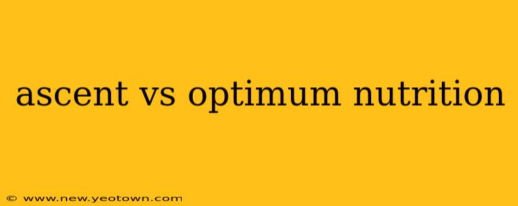 ascent vs optimum nutrition