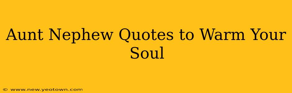 Aunt Nephew Quotes to Warm Your Soul