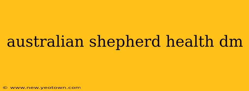 australian shepherd health dm