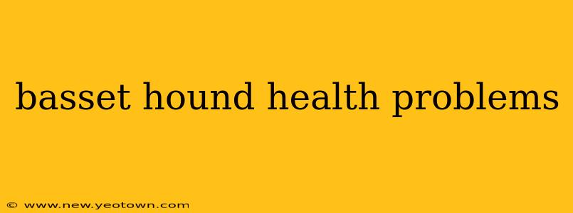 basset hound health problems