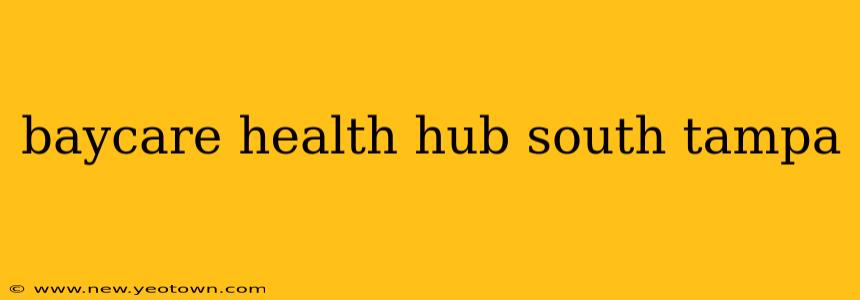 baycare health hub south tampa