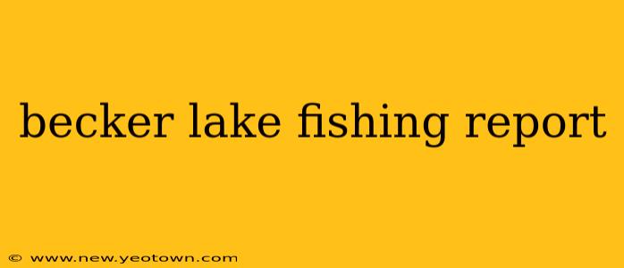 becker lake fishing report