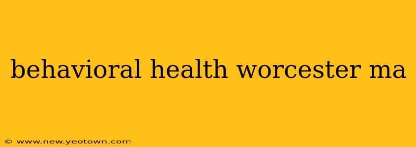 behavioral health worcester ma