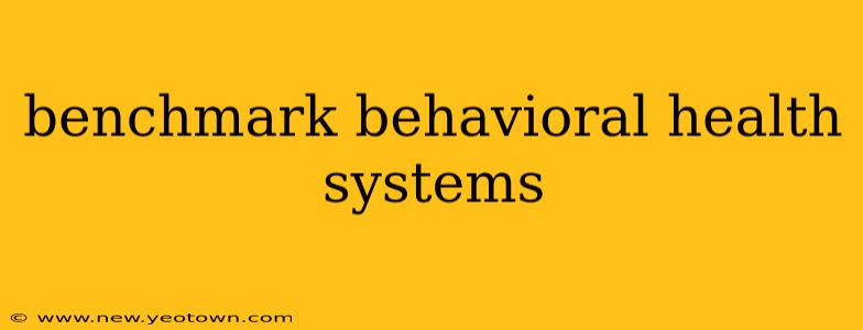benchmark behavioral health systems