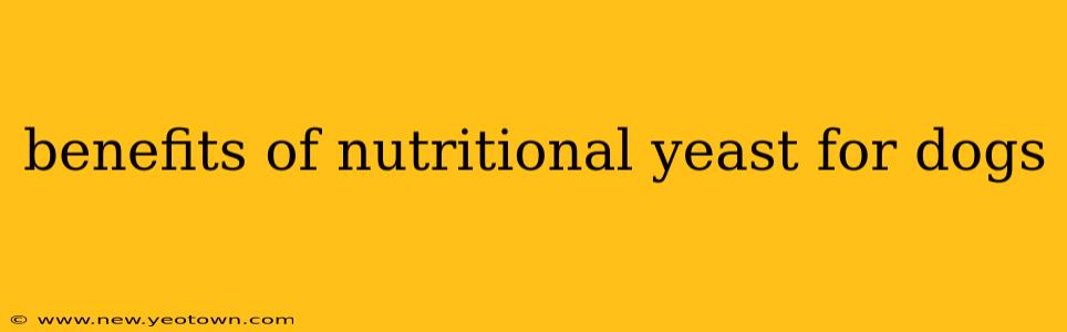 benefits of nutritional yeast for dogs