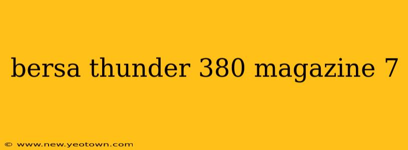 bersa thunder 380 magazine 7