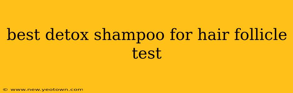 best detox shampoo for hair follicle test