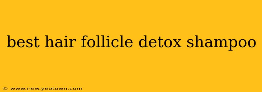 best hair follicle detox shampoo