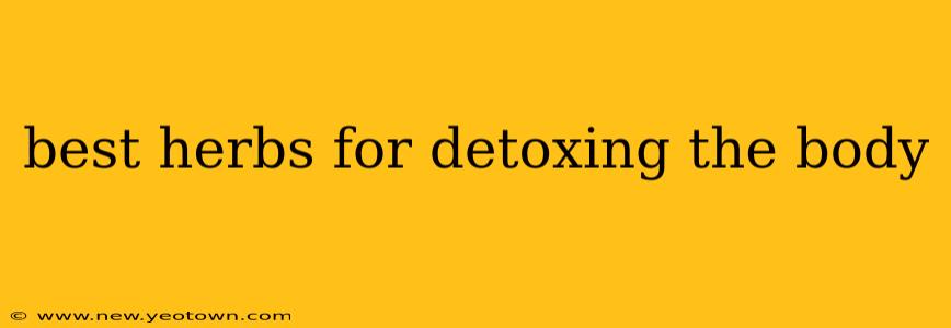 best herbs for detoxing the body