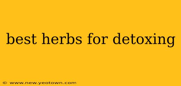 best herbs for detoxing