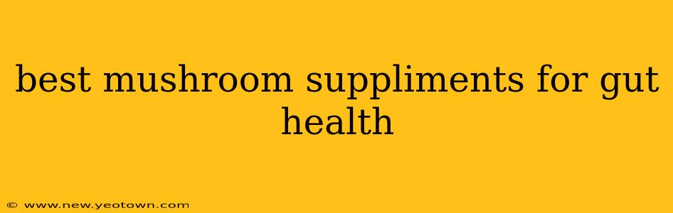 best mushroom suppliments for gut health