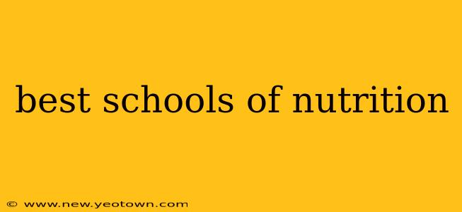 best schools of nutrition