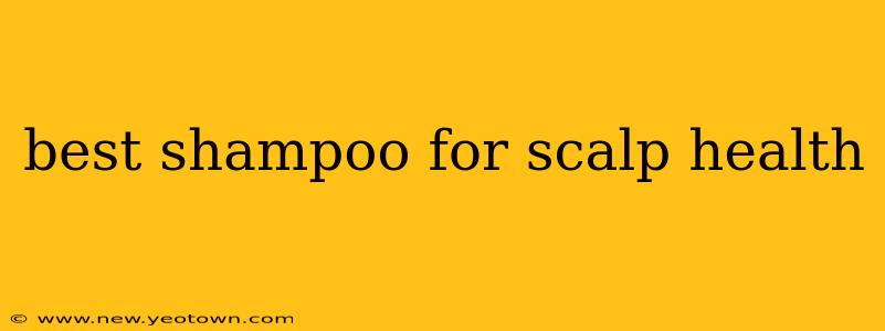 best shampoo for scalp health