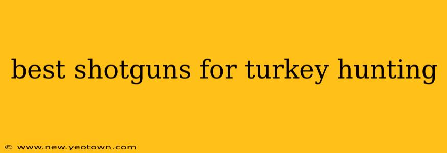 best shotguns for turkey hunting