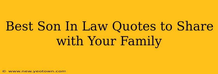 Best Son In Law Quotes to Share with Your Family