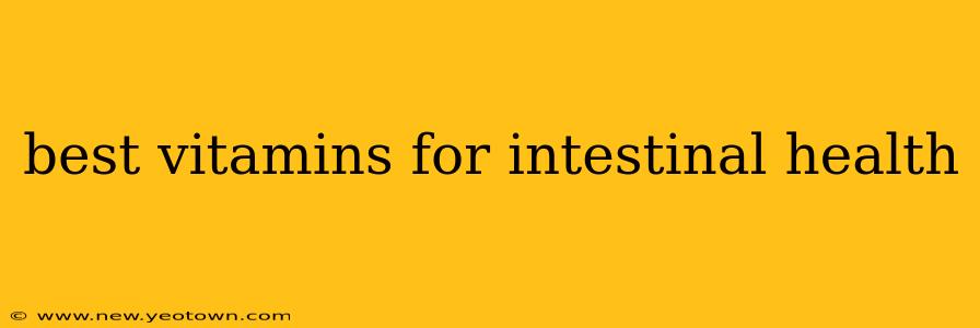 best vitamins for intestinal health