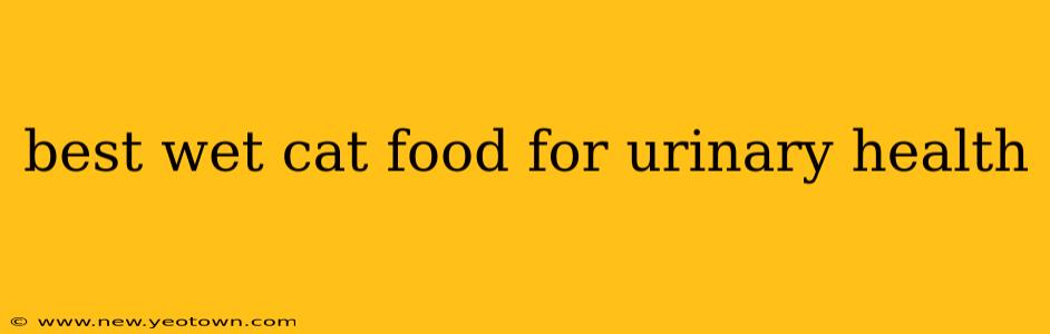 best wet cat food for urinary health