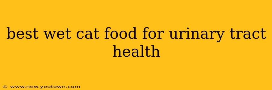 best wet cat food for urinary tract health
