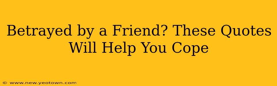 Betrayed by a Friend? These Quotes Will Help You Cope
