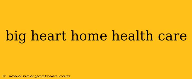 big heart home health care