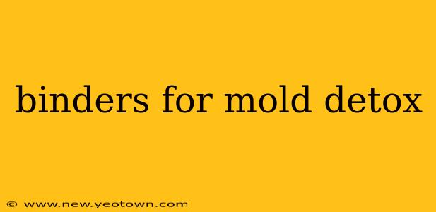 binders for mold detox