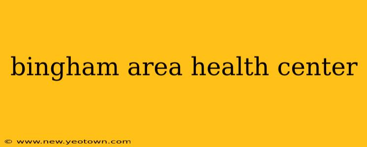 bingham area health center