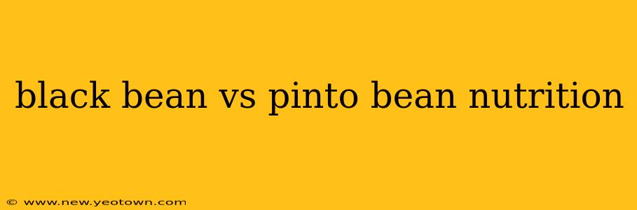 black bean vs pinto bean nutrition