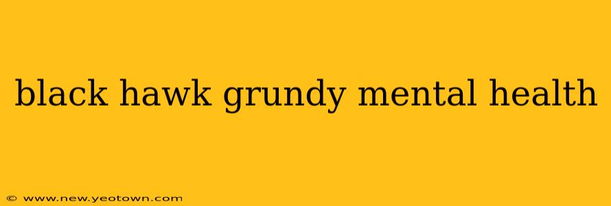 black hawk grundy mental health