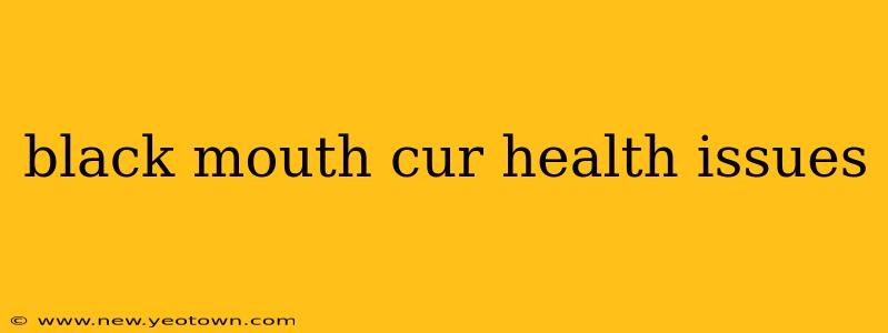 black mouth cur health issues