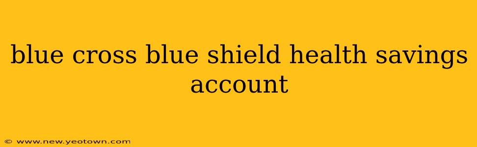 blue cross blue shield health savings account