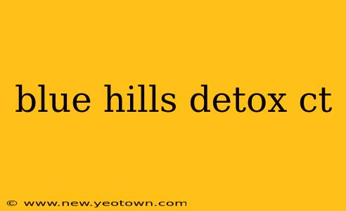 blue hills detox ct