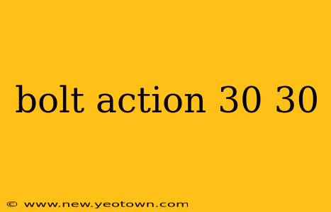 bolt action 30 30