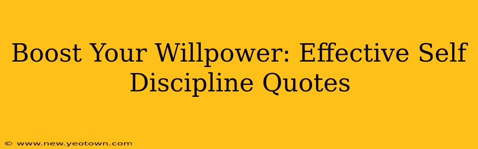 Boost Your Willpower: Effective Self Discipline Quotes