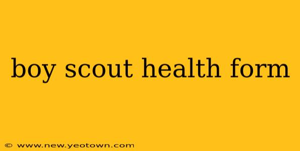 boy scout health form