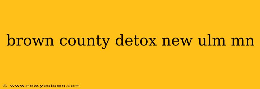 brown county detox new ulm mn