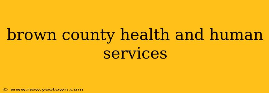 brown county health and human services