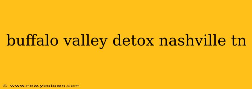 buffalo valley detox nashville tn
