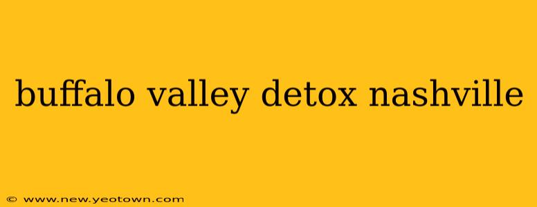 buffalo valley detox nashville