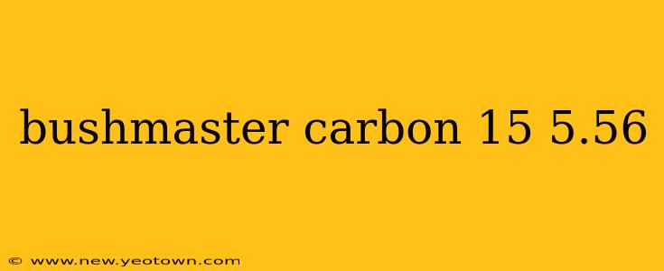 bushmaster carbon 15 5.56