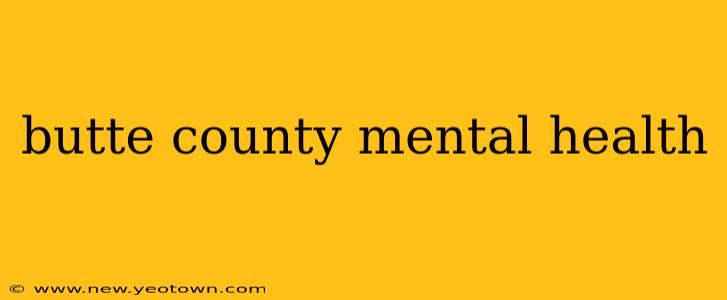 butte county mental health