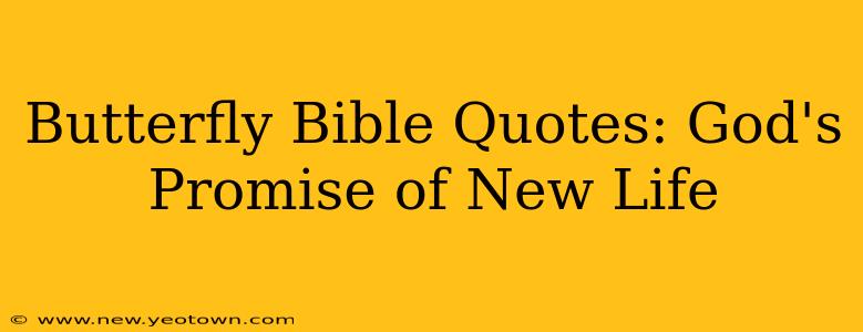 Butterfly Bible Quotes: God's Promise of New Life