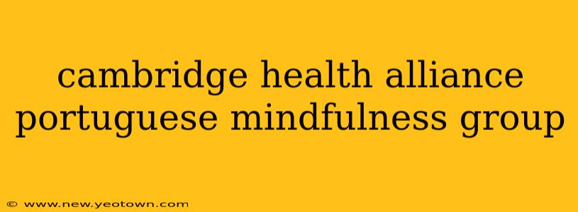 cambridge health alliance portuguese mindfulness group