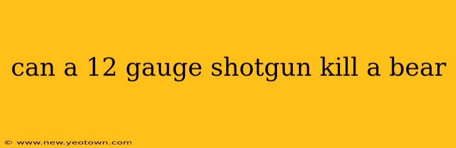 can a 12 gauge shotgun kill a bear