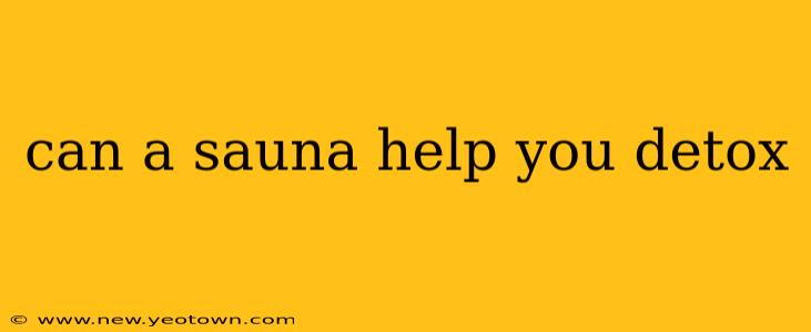 can a sauna help you detox